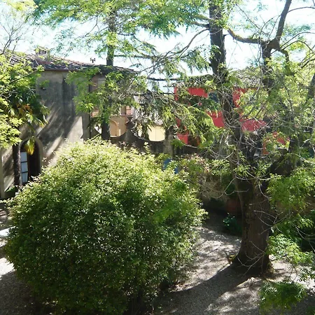 Charming Marcialla *